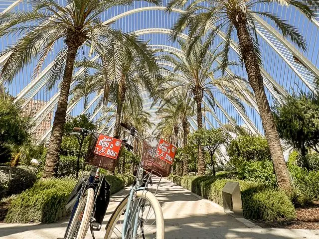 Bike Rental Valencia and Bike Tour